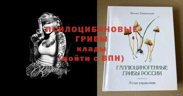 2c-b Волосово