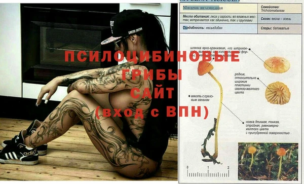 шишки Волоколамск