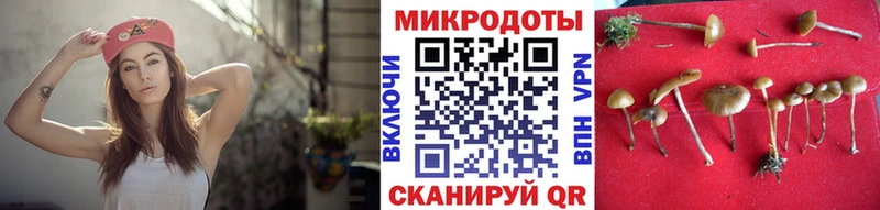 Галлюциногенные грибы прущие грибы  Ноябрьск 