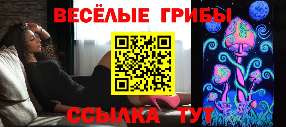 Ноябрьск  Галлюциногенные грибы Psilocybe  Вход с VPN 