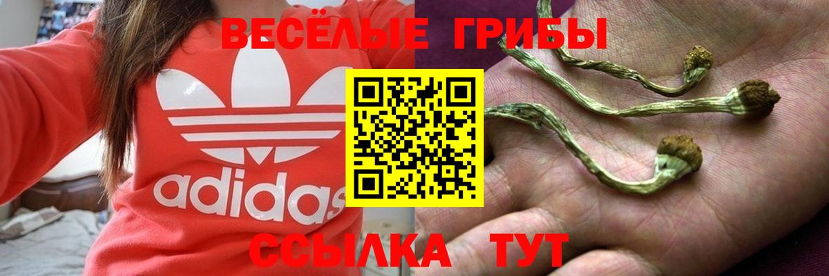 ГАШ  Ноябрьск  Вход с VPN  Амфетамин   МЕФ   Купить наркоту  Конопля  Гашиш 